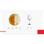 غسالة أطباق توشيبا – سعة ١٣ فرد – مزودة بفلتر مضاد للبكتيريا – ستانلس ستيل – DW-13F8AF(SS)-EG